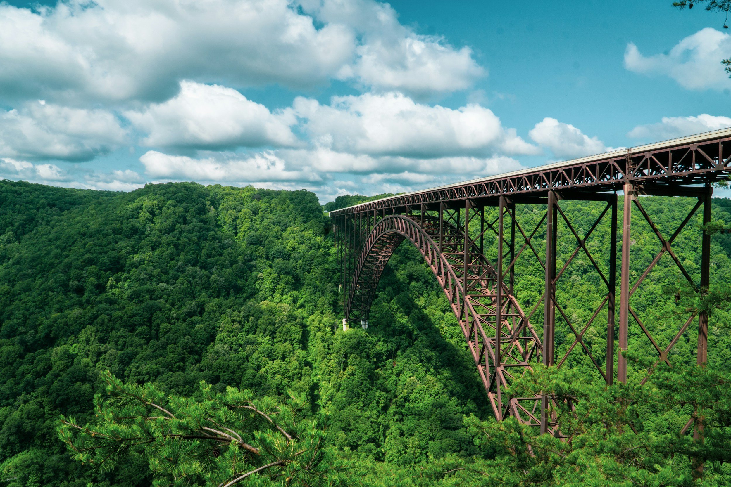 West Virginia bridge and forest landscape